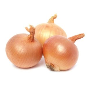 CEBOLLA TRADICIONAL